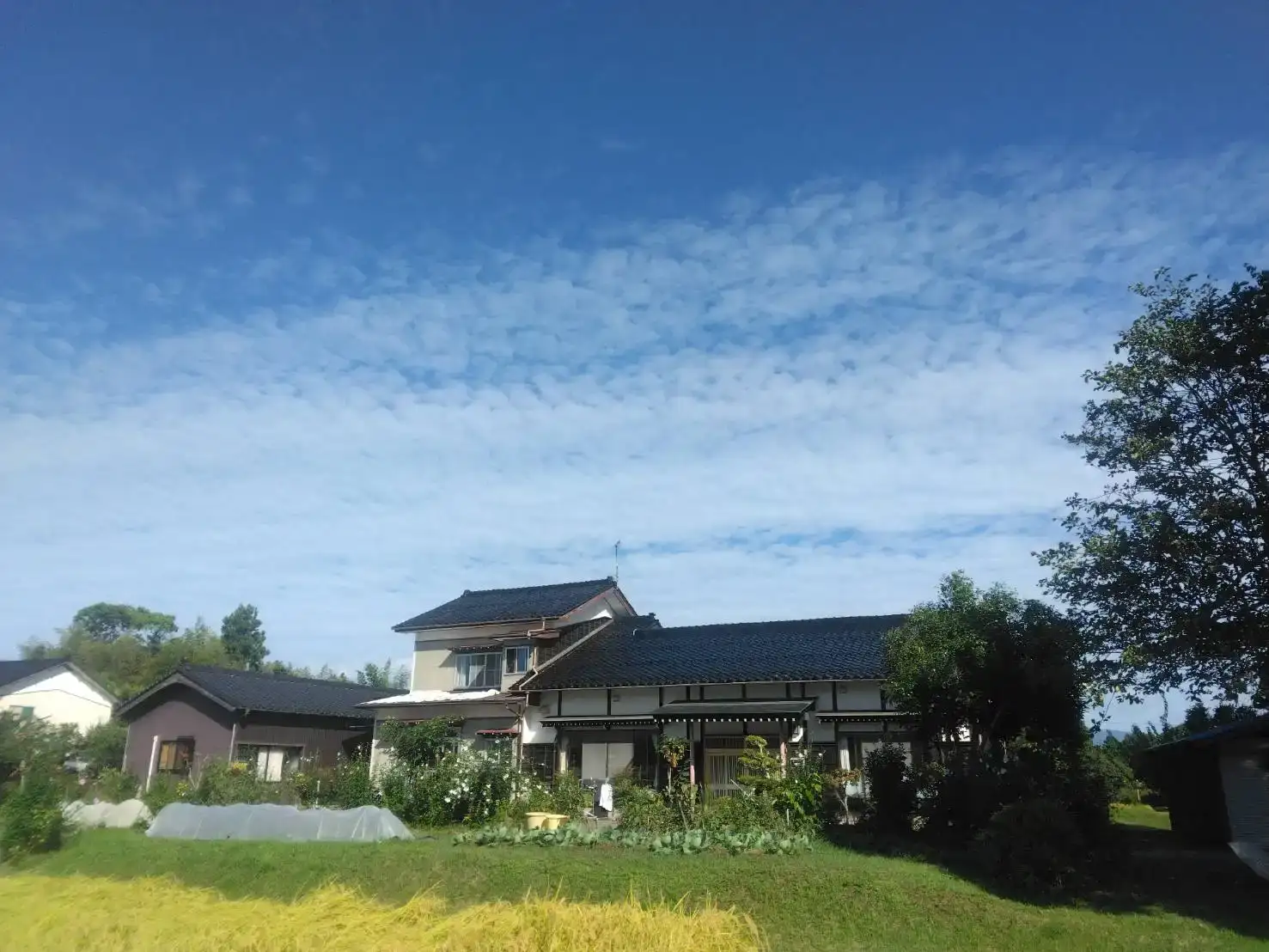佐渡島の自然とヨガの時間